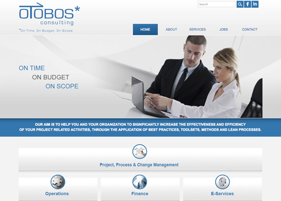 Site Internet Otobos Consulting